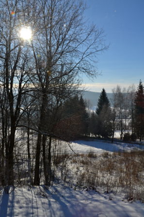 zima ve Svratce